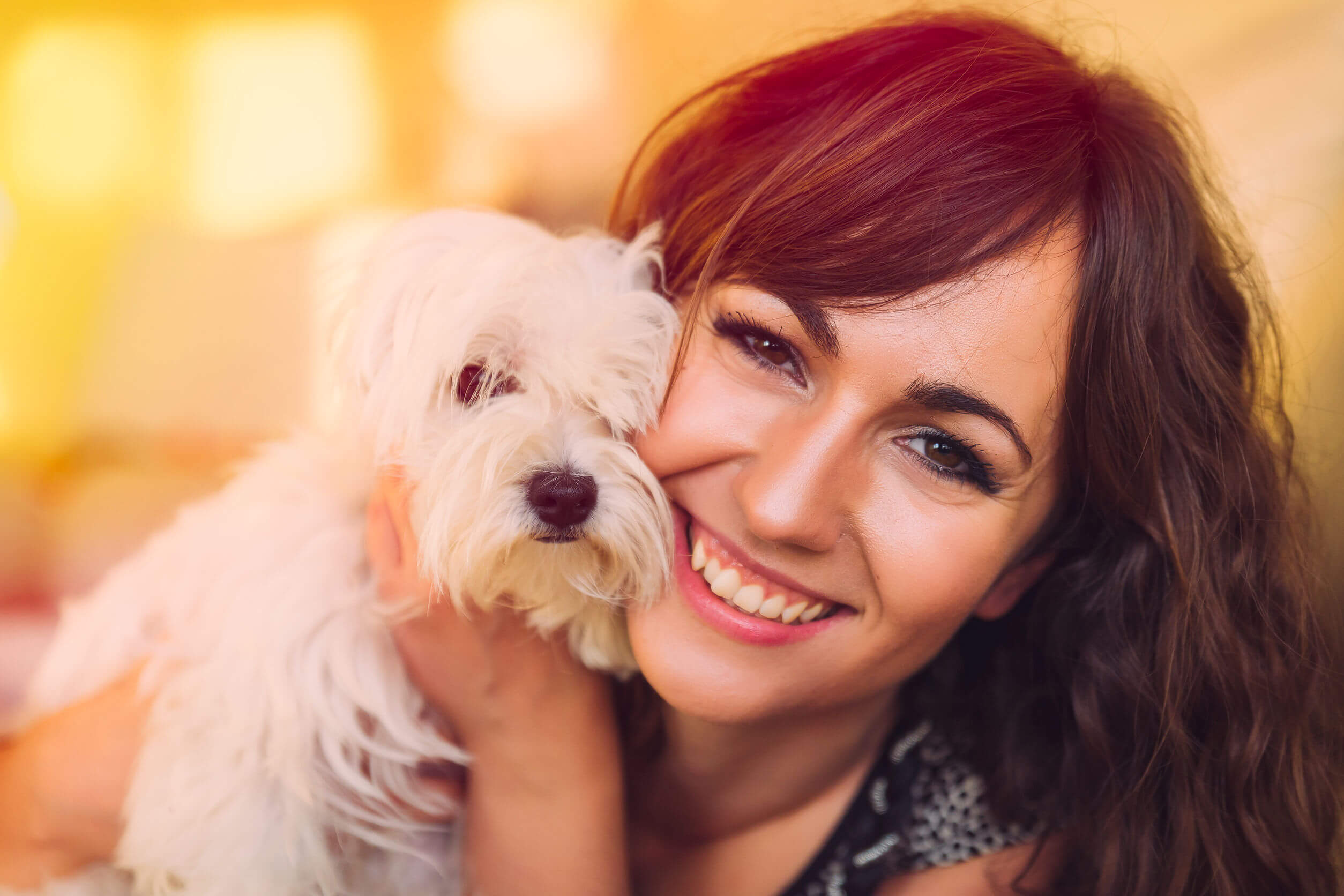 HVAC Maintenance  Tips For Pet Owners