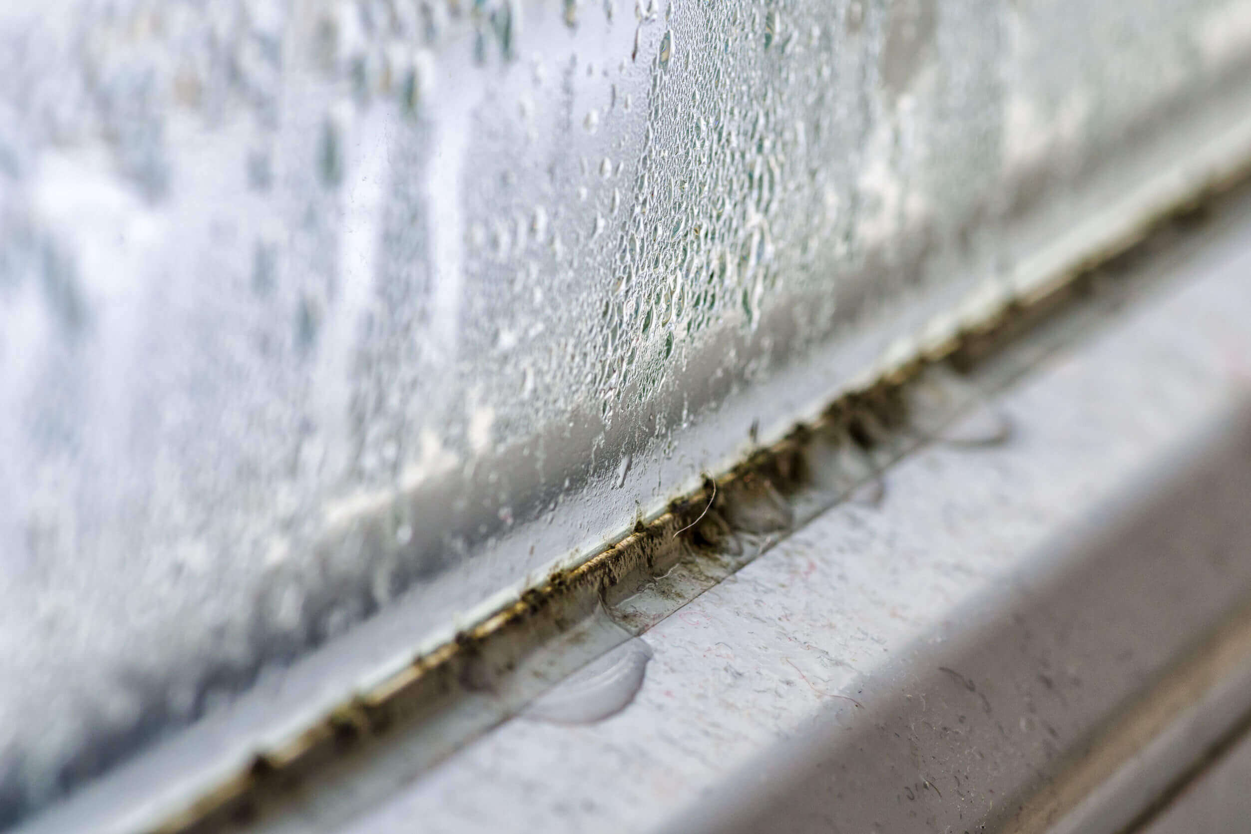 Featured Image for “How to Prevent Window Condensation”