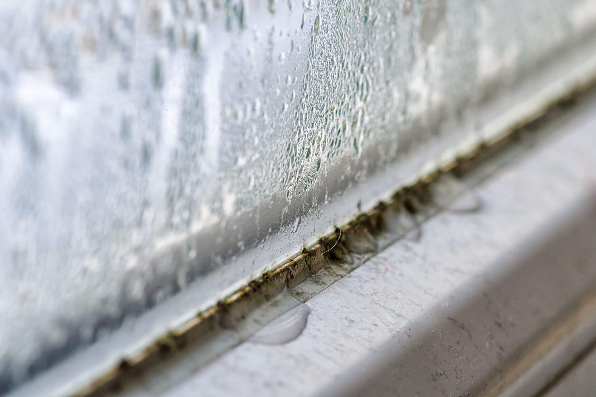 Window Condensation: Why It Happens and How to Prevent It